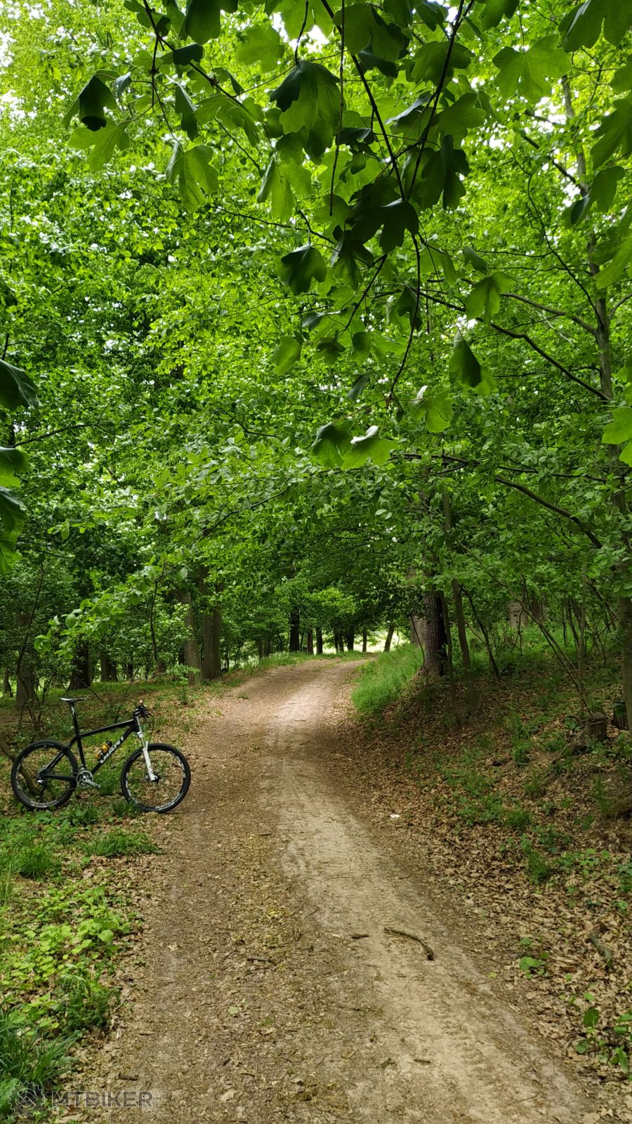 05. Popri Hradskom Potoku.jpg