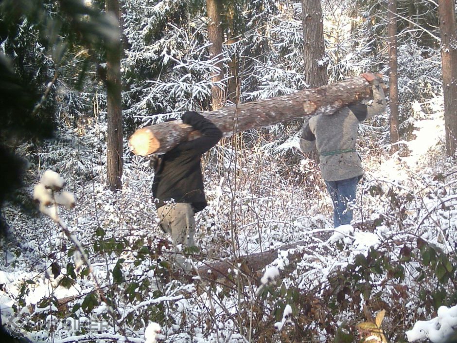 Copy of16-12-2018IMAG0016.jpg