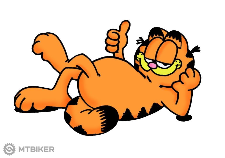 garfield.jpeg