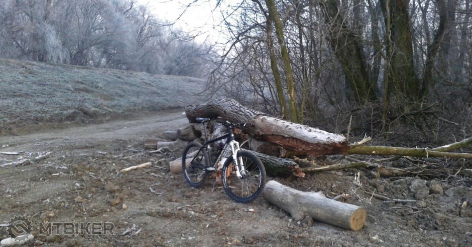 Fotografia-0589 (2).jpg