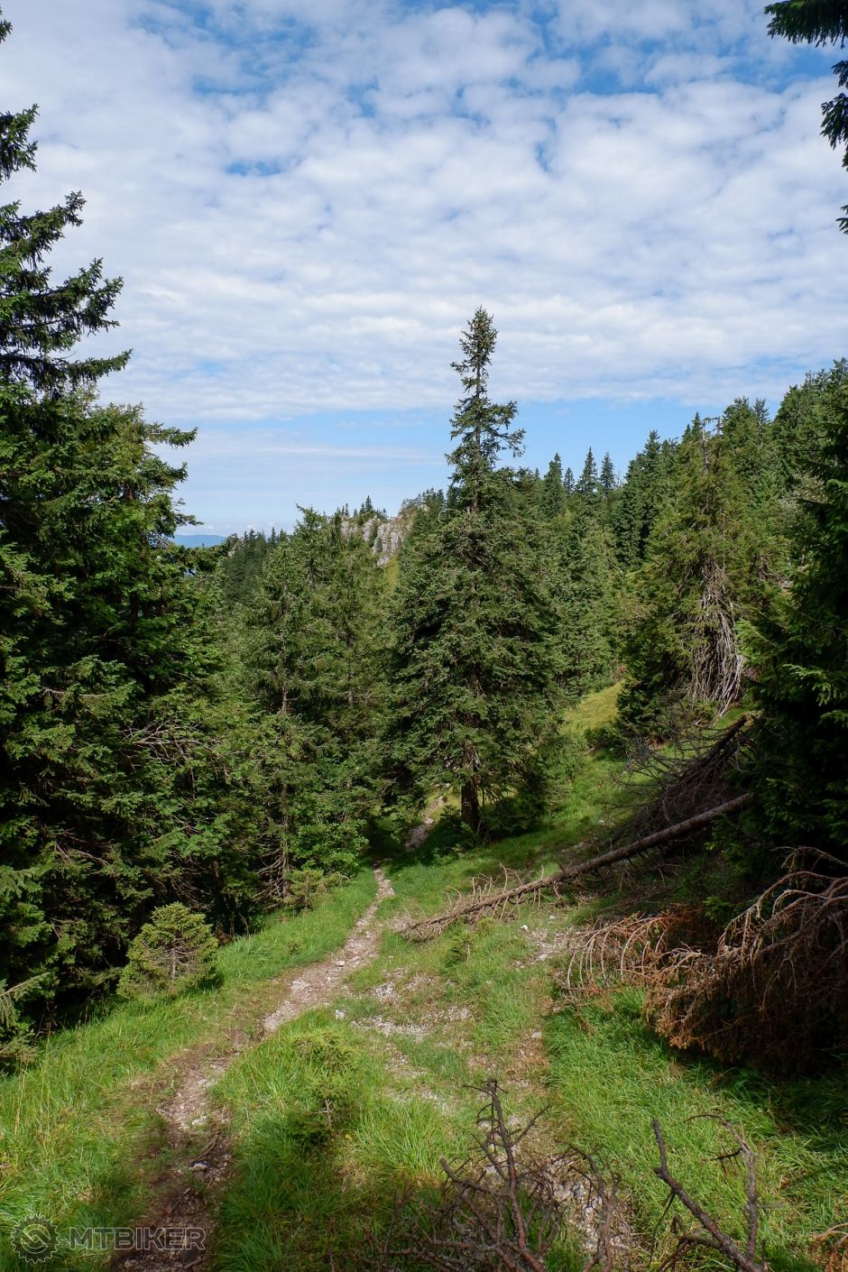 20190811_10-33-08_1-400 sec at f - 7,1_ISO 200_24 mm_VF0020.jpg