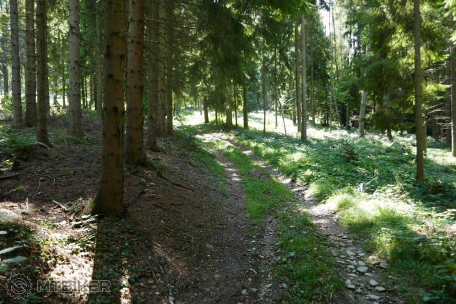 _cez.rohacku_21aug 271.JPG