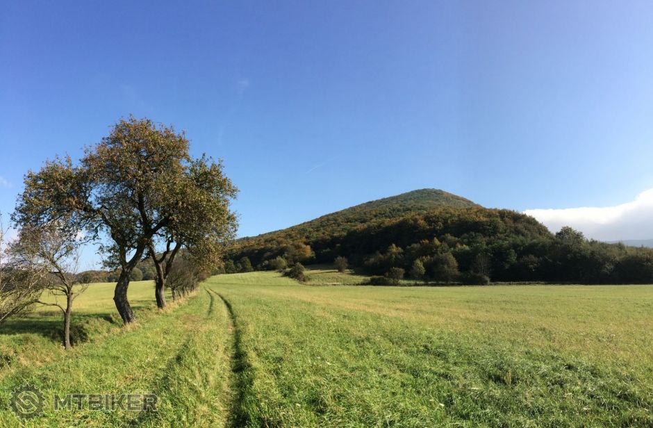 2014-10-11 12.06.39.jpg