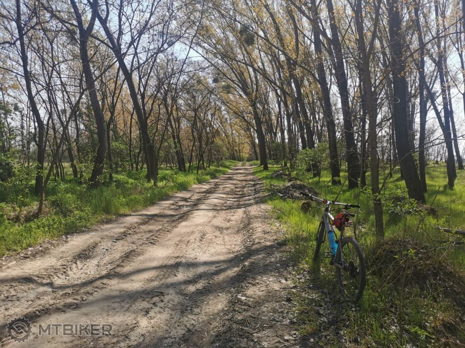 IMG_20220421 (8).jpg