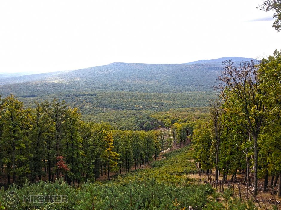 2015-10-18 12.56.30-1200u.jpg