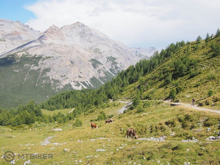 P8286892 cesta od jazier naspat do Livigna.jpg