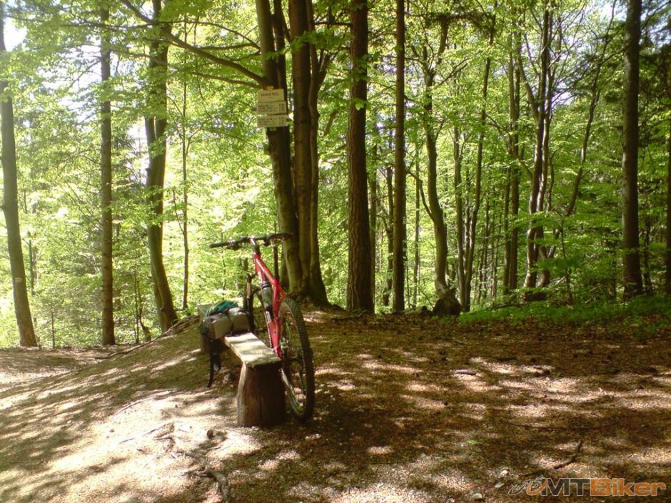 P110511_14.06 (Large).JPG