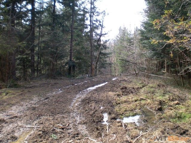 blatka bolo statocne.jpg