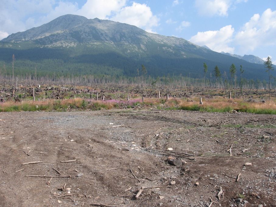 Tatranska spust 01..jpg