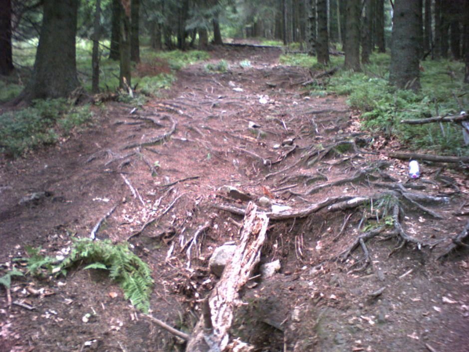 Zjazd z Mincolu do Vysnoveho.jpg