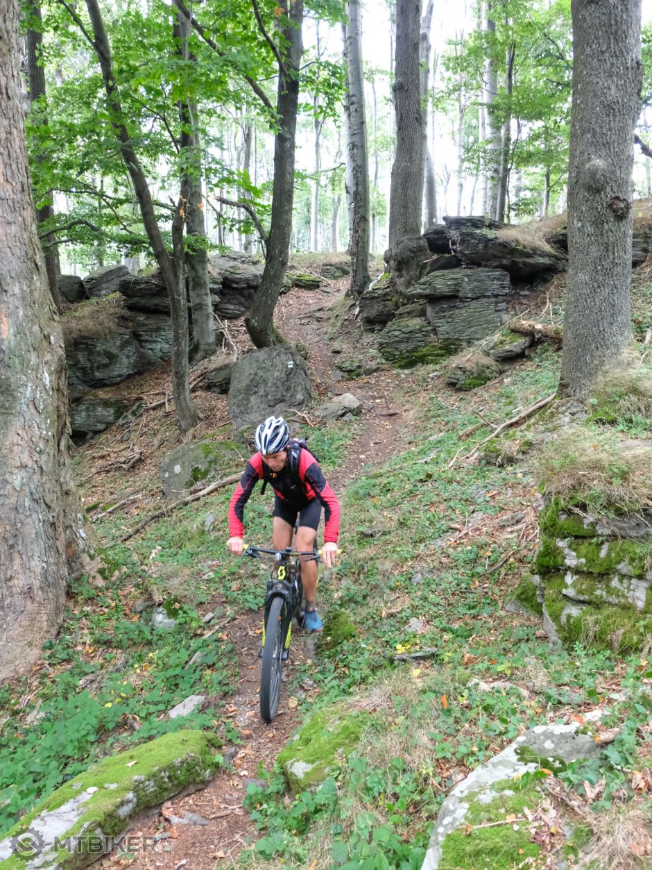 20200925_14-53-12_1-105s_F3,5_ISO 3200_24 5167.jpg