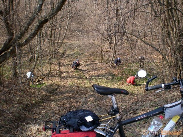 10.asi zberaju chrobaky.jpg