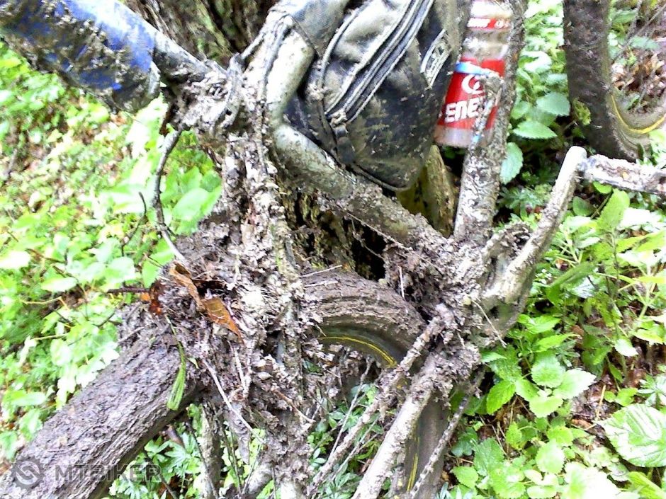 Fotografia 1106 (2).jpg