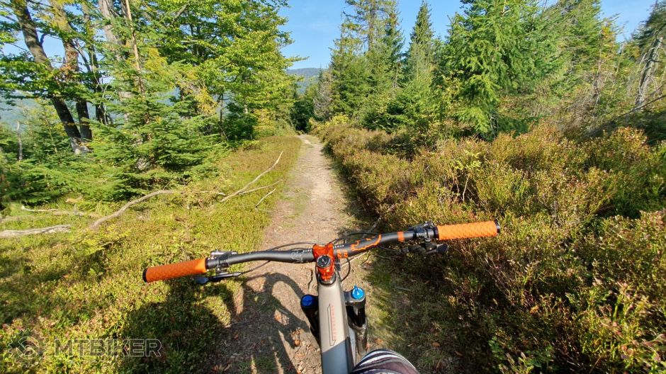 2023-09-12 10.07.28.jpg