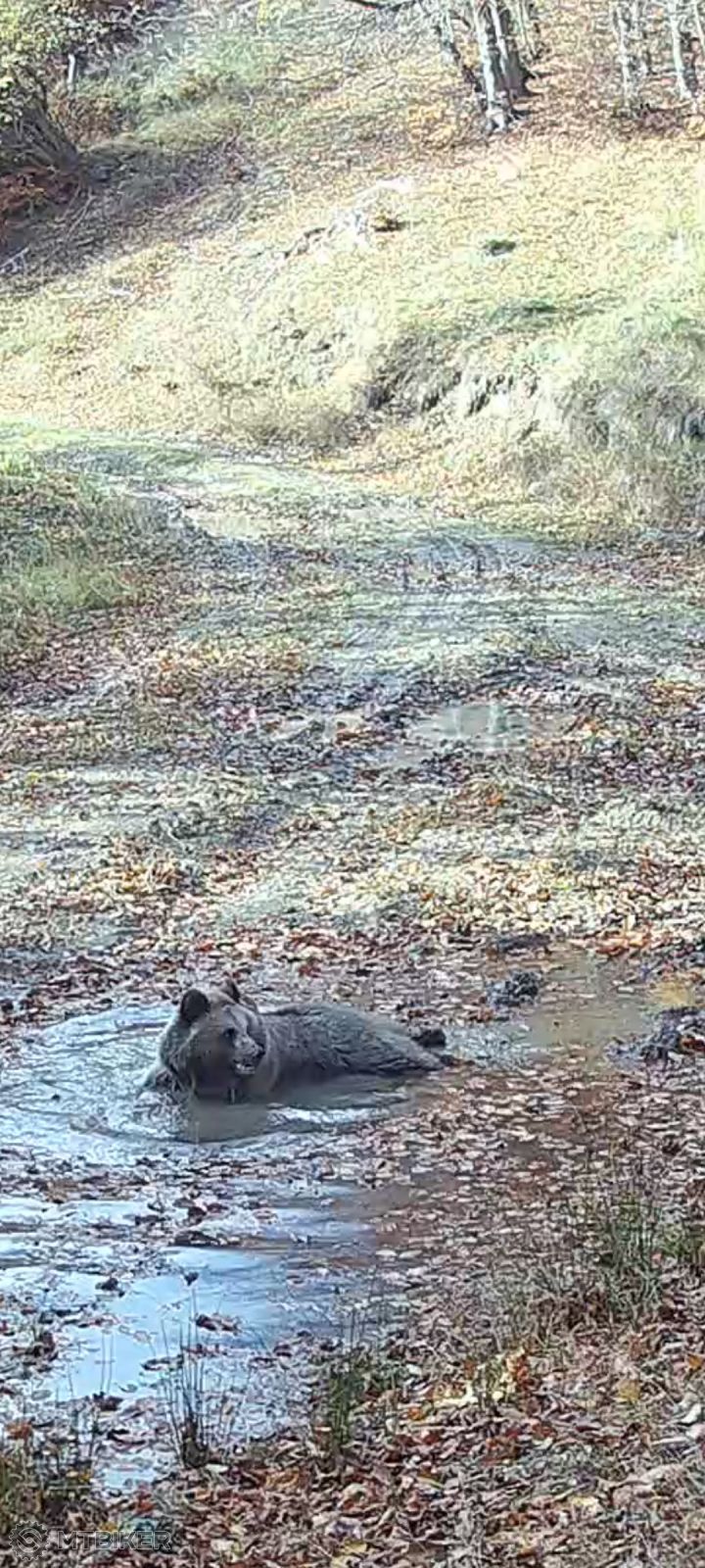 Screenshot_20251102_171614_Video Player.jpg