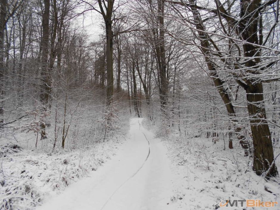 FOTO - Trasa Zimneho maratonu 2013  02.JPG