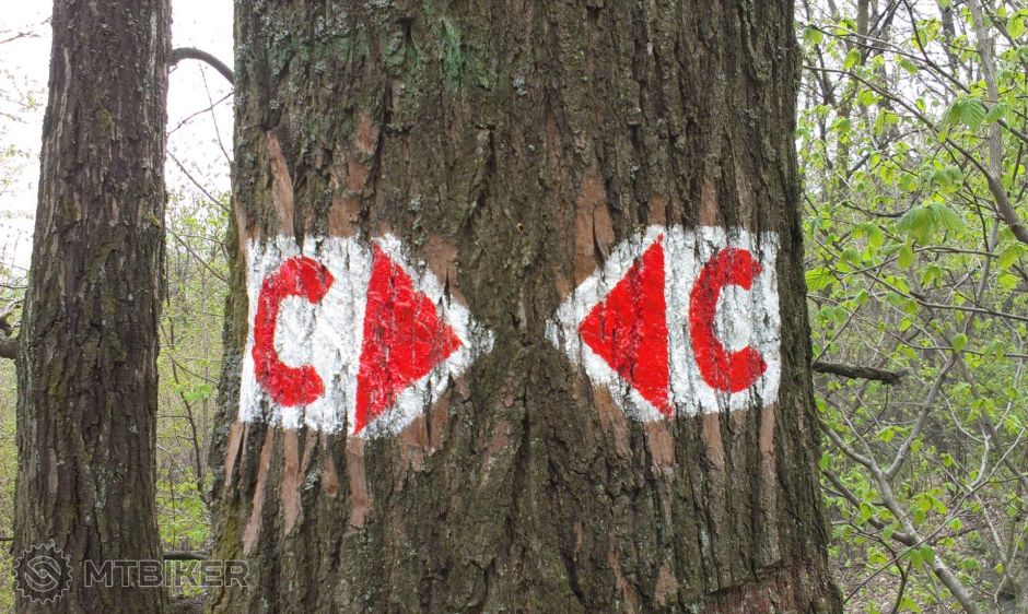 2014-04-05 17.49.57.jpg