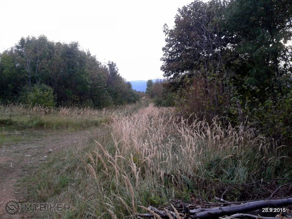 1-2015-09-28 17.26.51.jpg