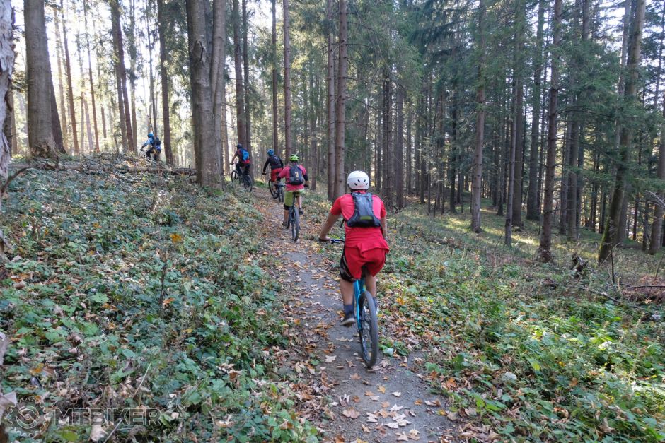 20181013_09-40-47_1-125 sec at f - 3,5_ISO 1000_24 mm_ZAWJ1200.jpg