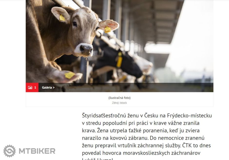 nebezpečná práca v krave.png